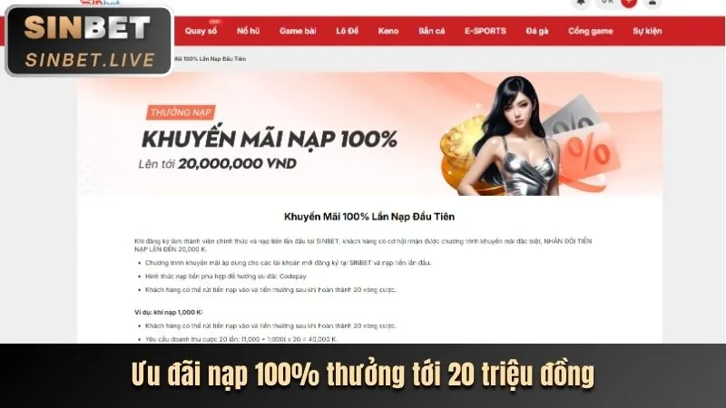 Cung cấp thông tin chi tiết